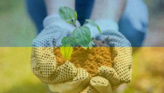 Kasvi käsissä ukrainan väreissä.