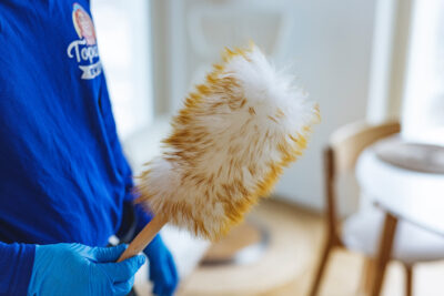 Pölyhuiska kodinhoitajan kädessä.